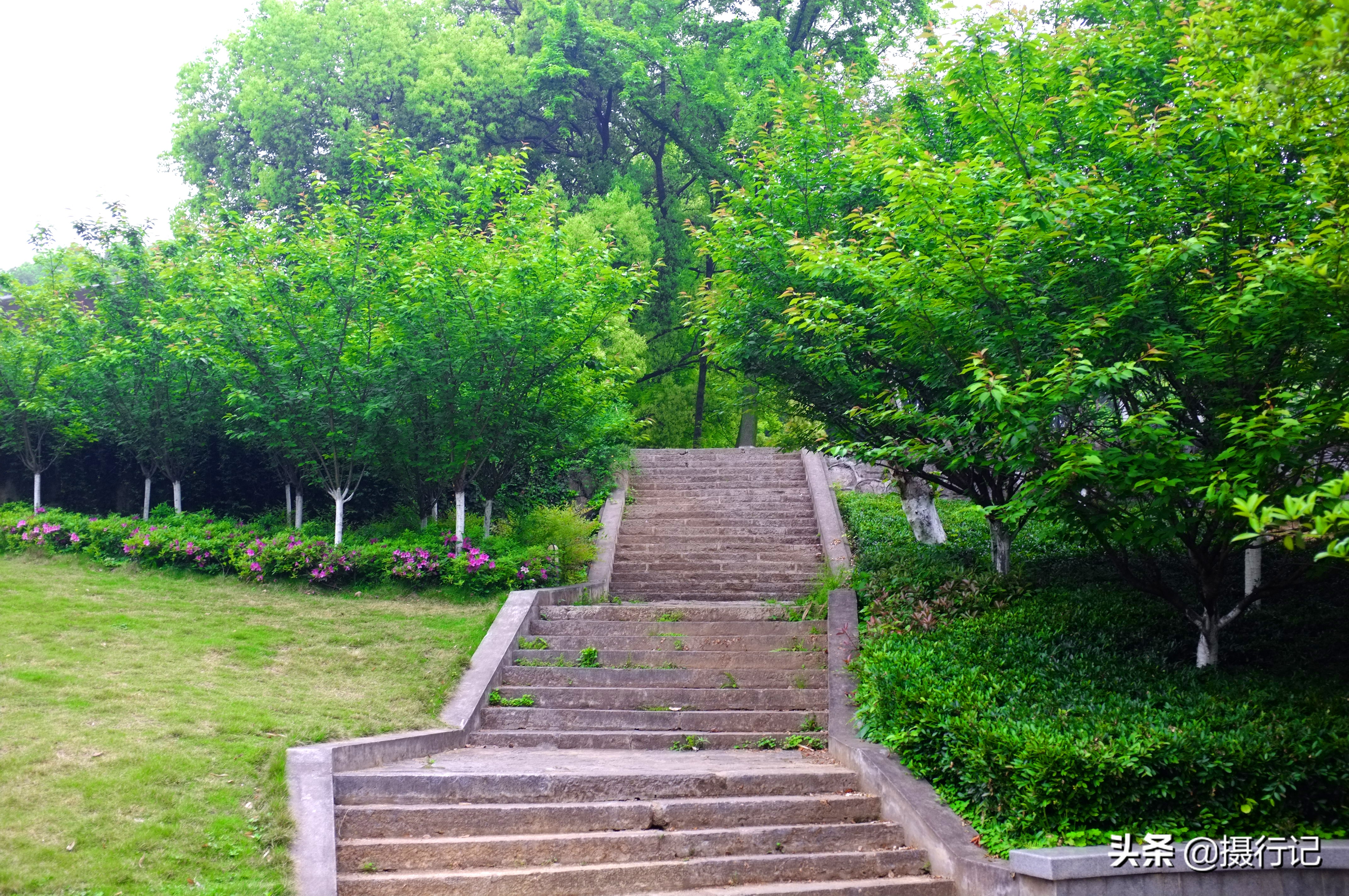 风光摄影:湖北宜昌东山公园春色迷人,周末游人来踏青