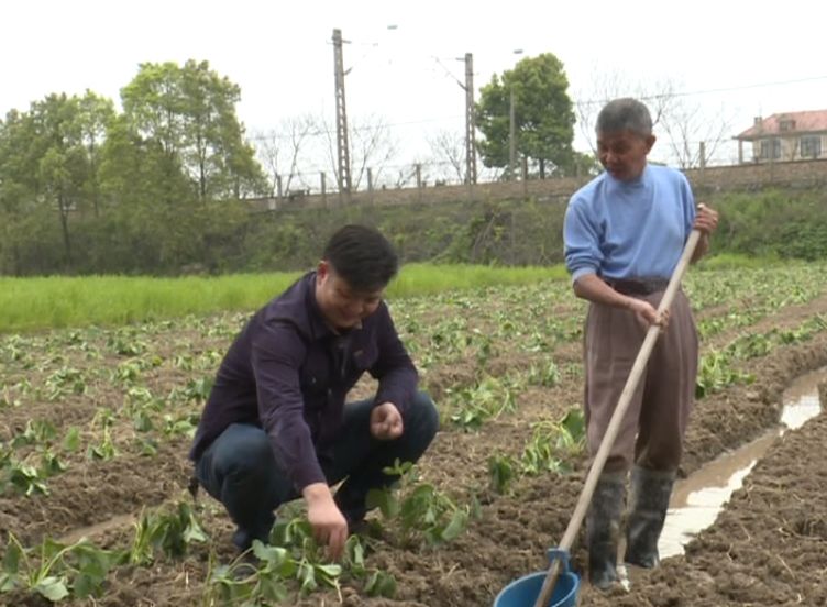 毛田人口_大崎毛田小学图片(2)