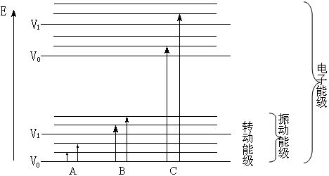 草莓的基本原理_草莓的基本原理 生态与栽培技术