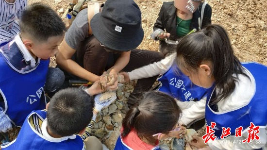 观赏化石展品、挖掘野外化石 ，小学生们体验当地质科考员
                
                 