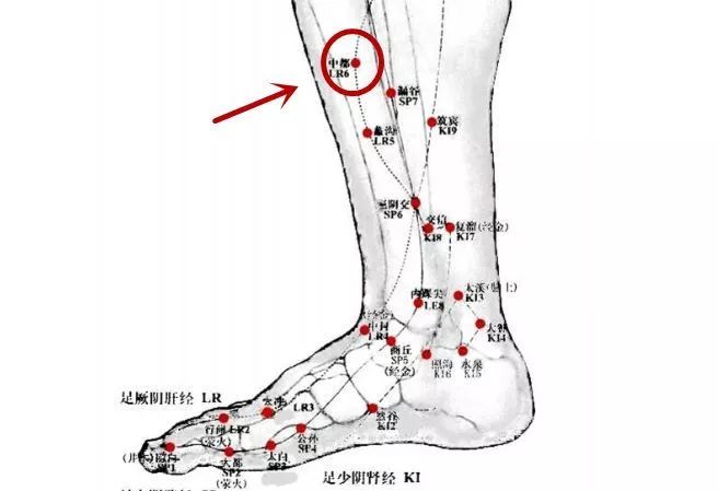 第四 按压中都穴有疼痛表示体内肝脏出现了炎症,炎症的轻重程度与