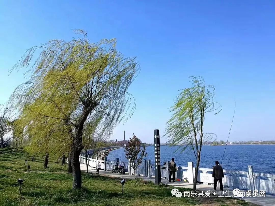 东湖西湖美景如画南乐多个网红踏青景点曝光好看还不要钱