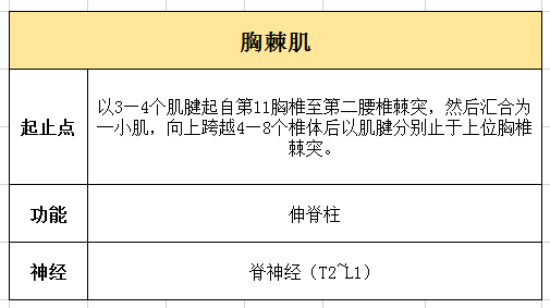 解剖知识背部肌肉深层三