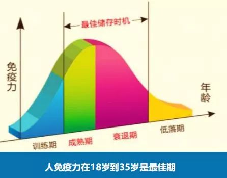 人口增殖_细胞的增殖思维导图