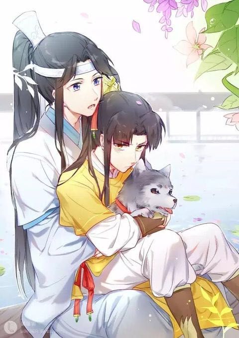 《魔道祖师》的众多非官方cp,你最支持哪一对?