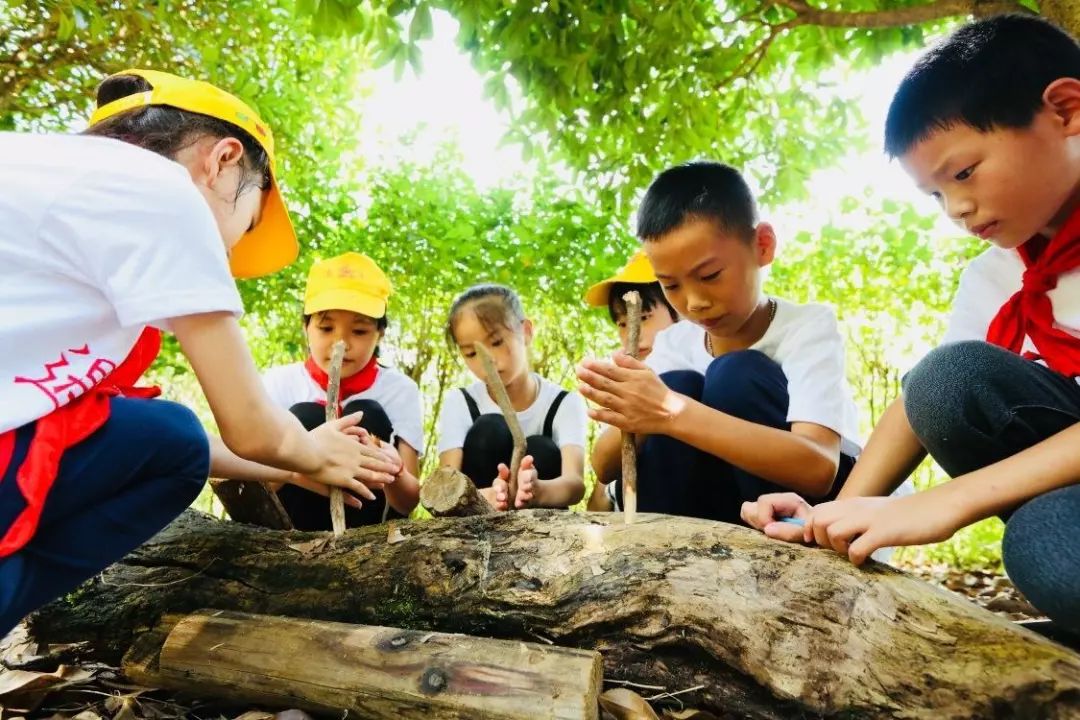 【五日营】置身大自然,荒野求生研学夏令营!你准备好了吗?