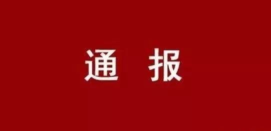 罗城县纳翁乡有多少人口