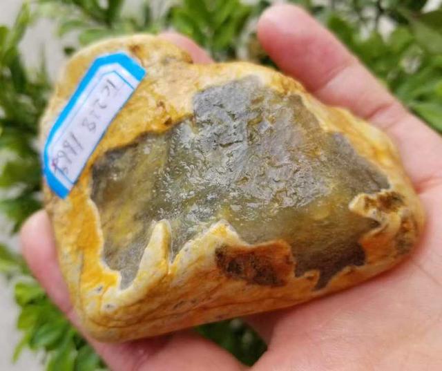 ���֪ʶ:���ԭʯ��ʯ����Ƥ�Ǻ����Ǹ���������������