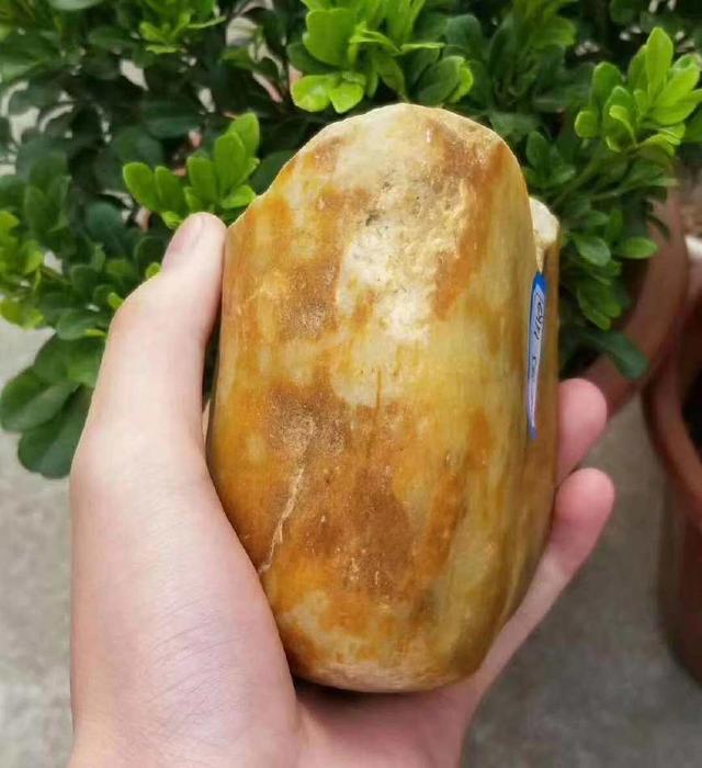 ���֪ʶ:���ԭʯ��ʯ����Ƥ�Ǻ����Ǹ���������������