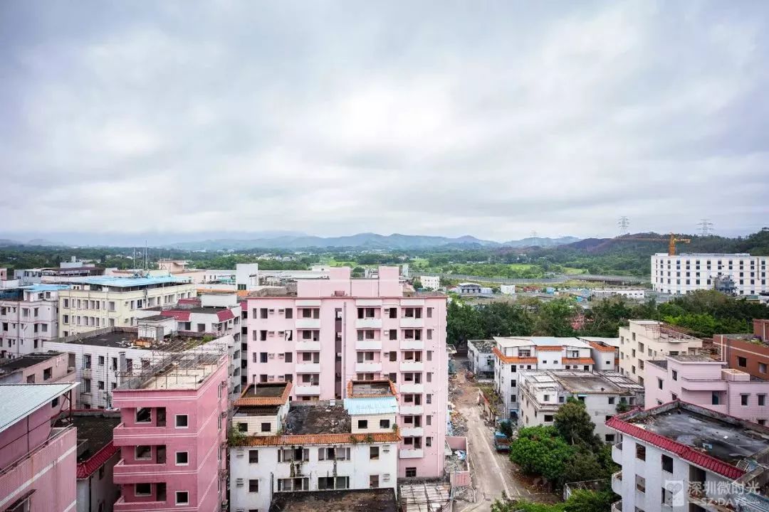 这里曾是深圳的"逃港大村,如今出走的人可能都后悔了…_罗芳村