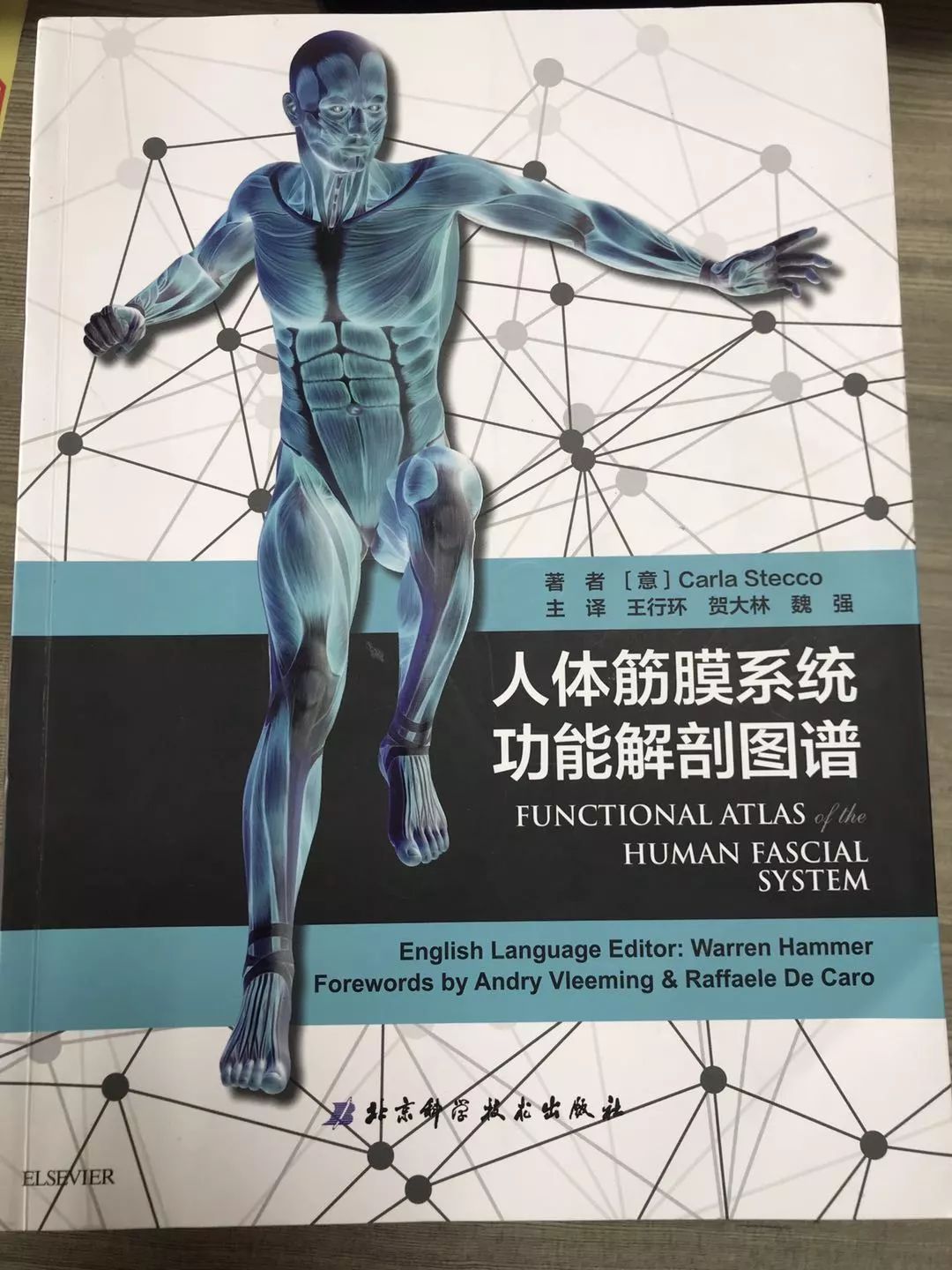 书籍推荐丨《人体筋膜系统功能解剖图谱》