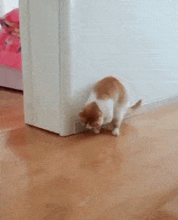 搞笑gif:憨豆先生你这表情是怎么拉!
