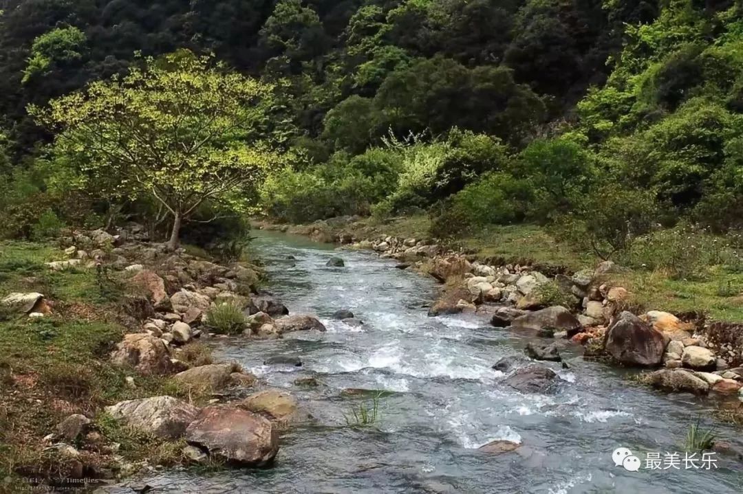 阿官摄陈爱泉 古槐镇乡土文化爱好者明朝的进士林廷选,63岁的时候回到