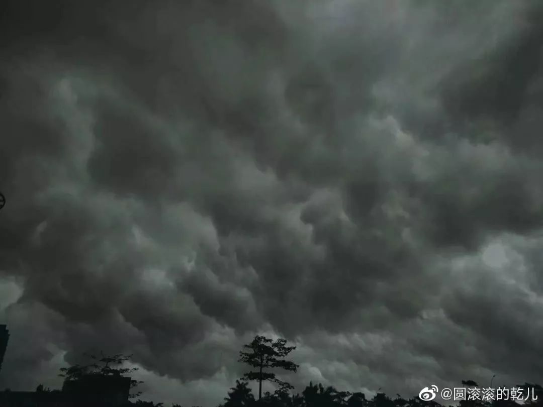 但是一场乌云暴雨 一秒天黑 是哪位上神在渡劫?