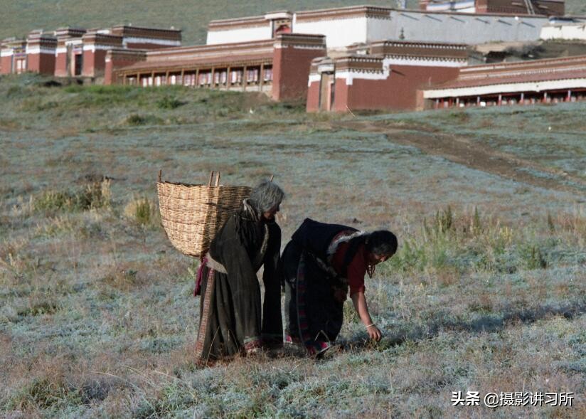 (图/文:刘晗峰) 在那里生活的藏民大多以放牧为生,生活上的取暖和做饭