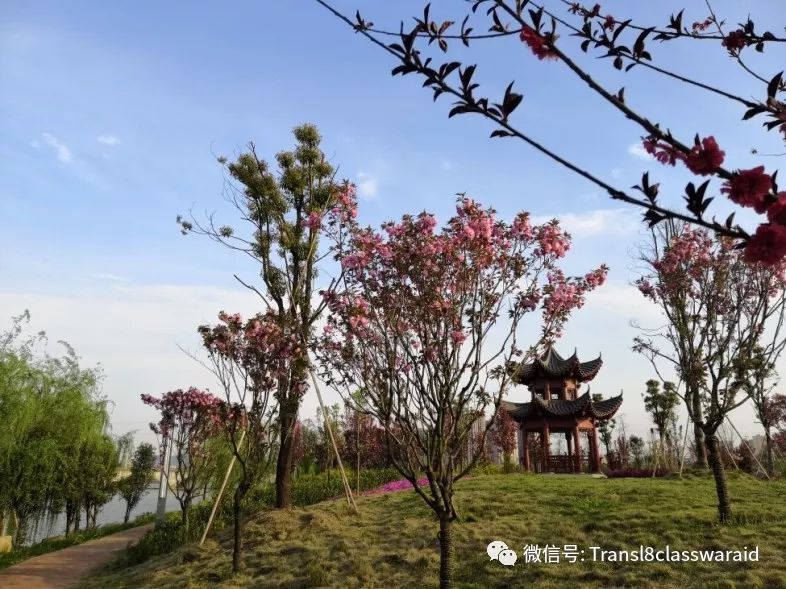 月湖公园,美景无限_浠水