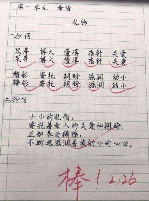 小学生字体太工整,堪比大学生,家长引以为傲,老师都佩服_字迹