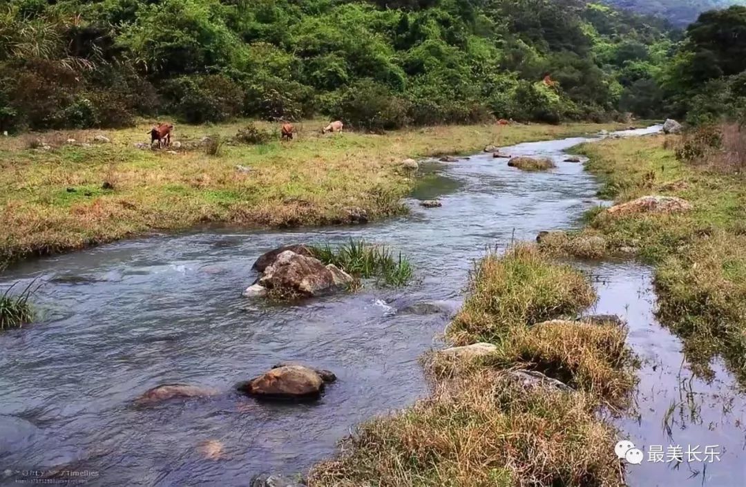 阿官摄陈爱泉 古槐镇乡土文化爱好者明朝的进士林廷选,63岁的时候回到