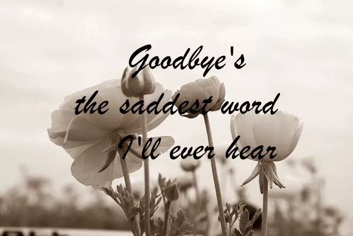 周末英文金曲精选 | goodbye"s the saddest word 再见是最伤感的字眼