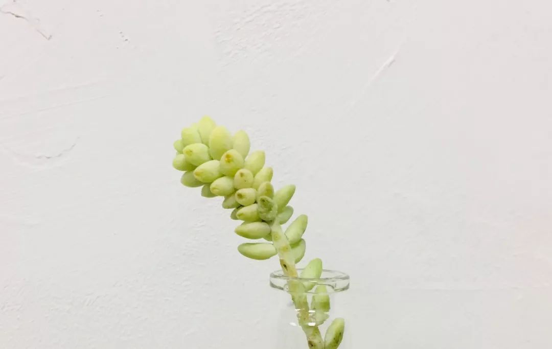 0057d28c016f4bb1b35845770ca128a3.jpeg
