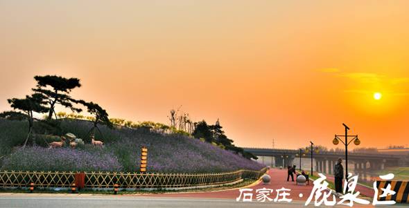 石家庄居住人口摸底_石家庄居住证明