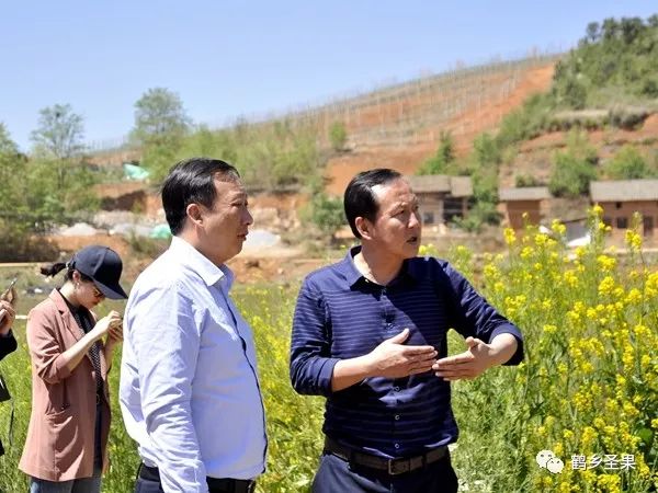 昭通永丰荷花稻田风光等地将实现美丽蜕变