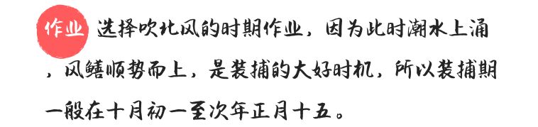 鲜为人知的斗门黄金风鳝,珠海黄金风鳝的做法---广东特色特产美食小吃(图24)