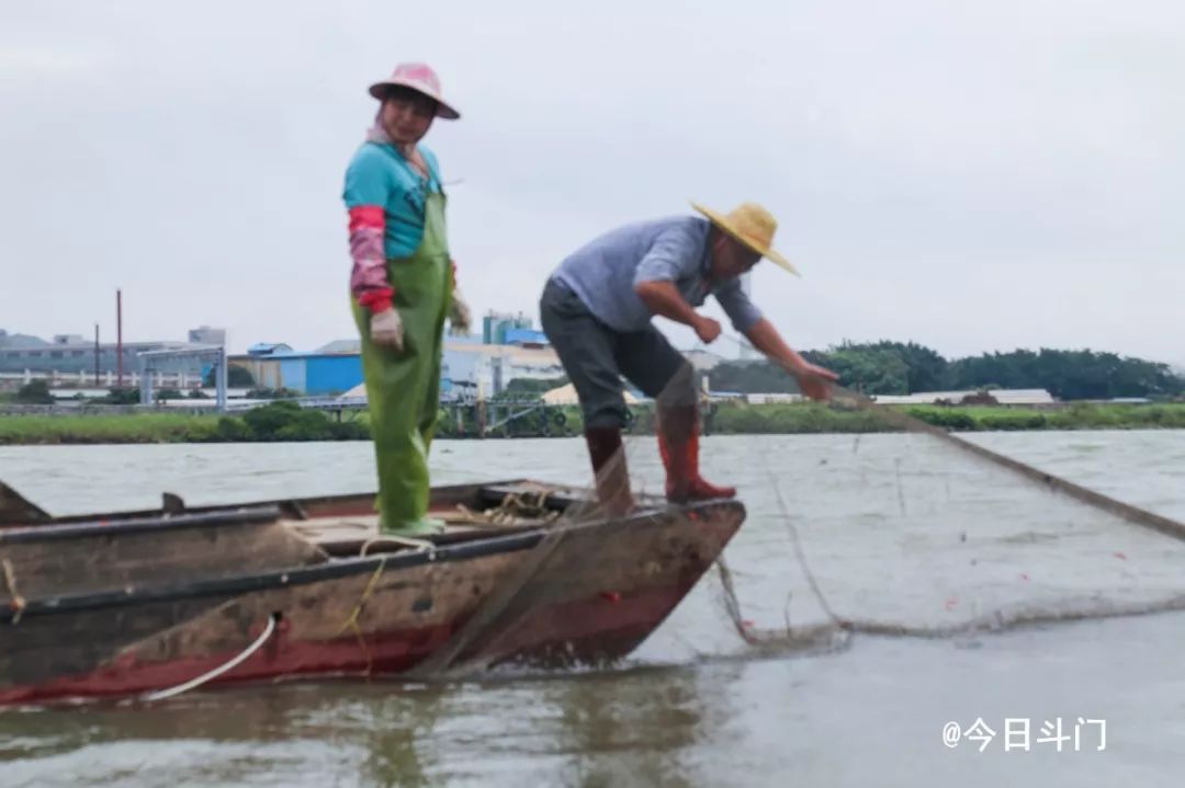 鲜为人知的斗门黄金风鳝,珠海黄金风鳝的做法---广东特色特产美食小吃(图23)