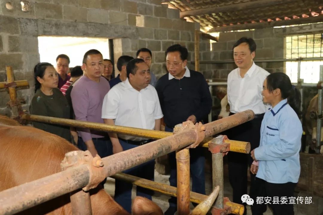 考察组在地苏镇镇兴村苏建坤户,赞字村韦瑞仕户考察.