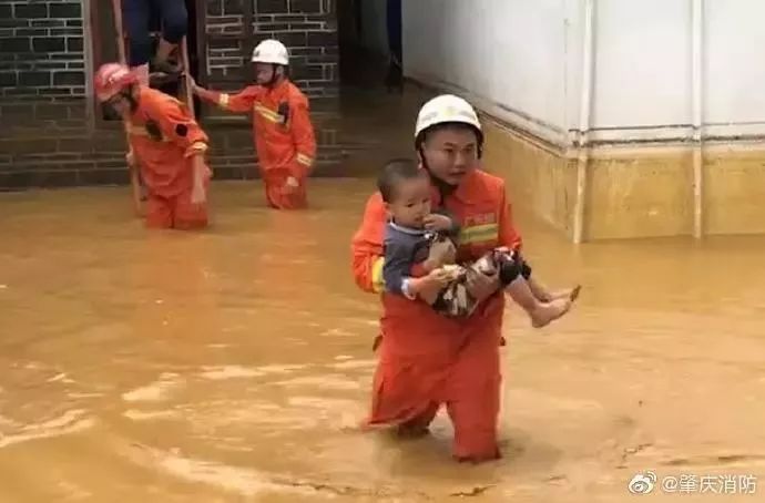 高要乐城人口_高要市乐城镇思可村村情概况(3)