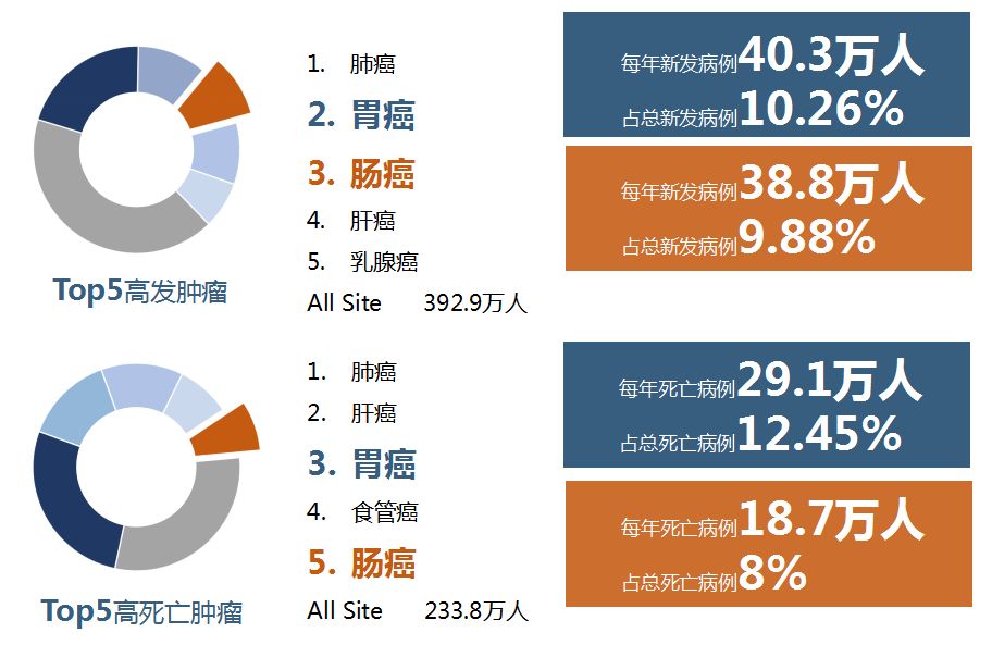 胃癌占人口比例_胃癌晚期图片