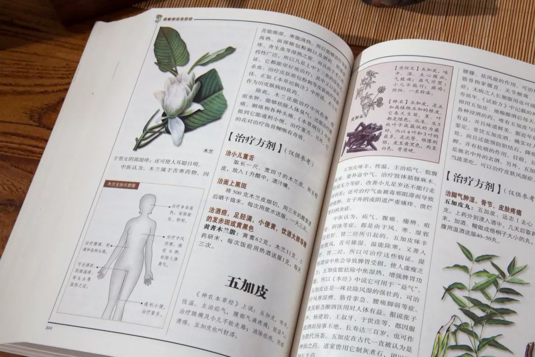 养生小说免费阅读全文 475d998fe67e4f15b764f8b69e9402ac.jpeg