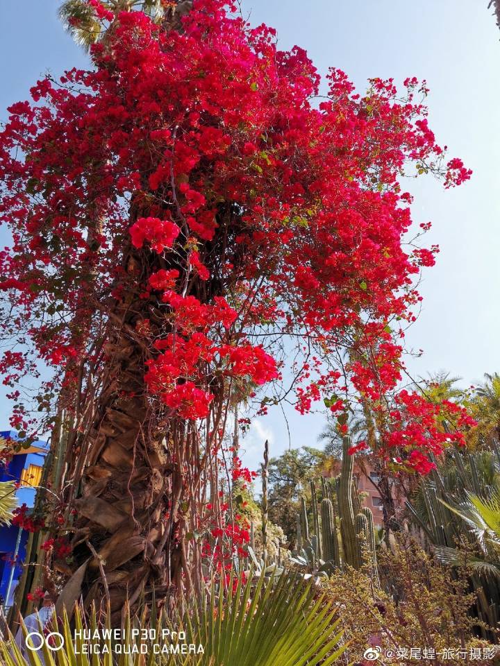 摩洛哥馬拉喀什，北非紅色之城的WTCR賽車及城市旅行 旅遊 第84張