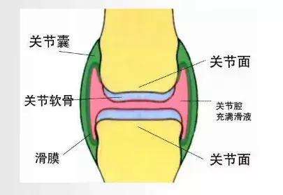 膝关节响怎么办