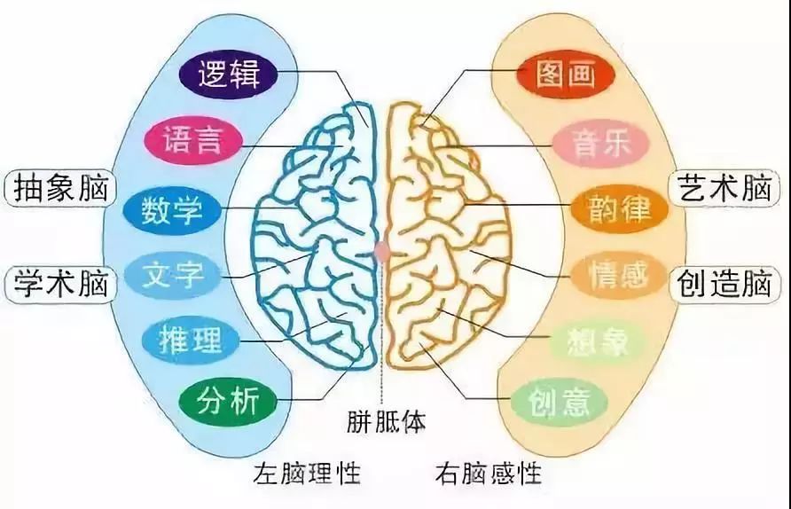 【重磅】一大班"最强大脑"即将涌入澄海这个地方!