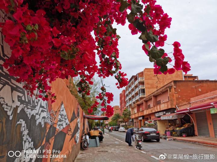 摩洛哥馬拉喀什，北非紅色之城的WTCR賽車及城市旅行 旅遊 第3張