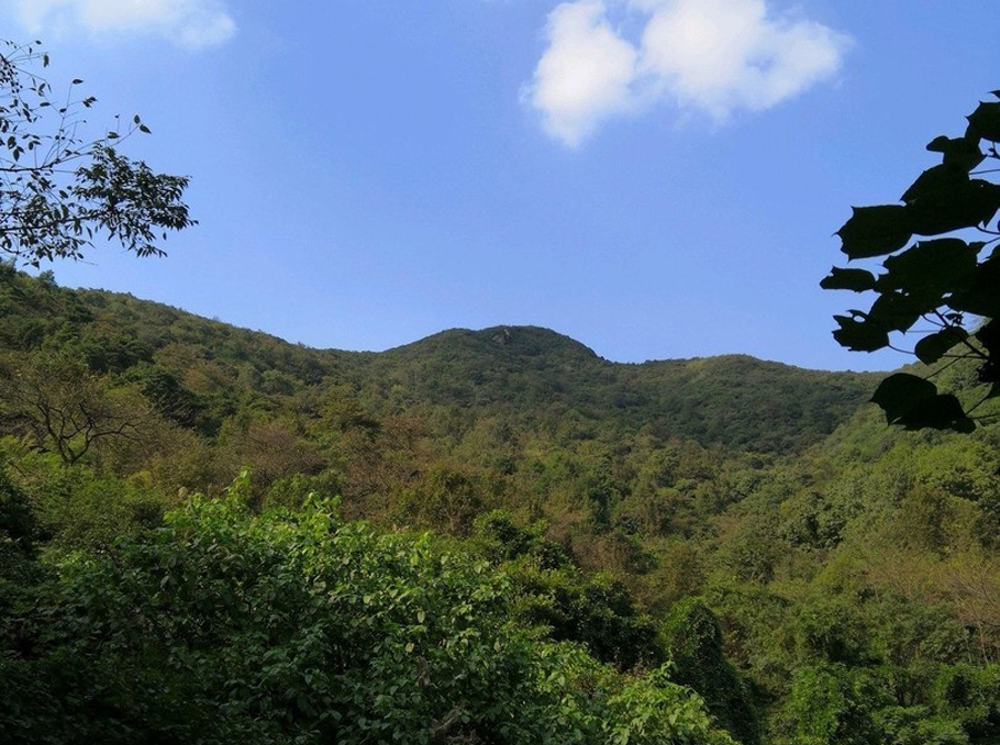 秀丽山水,诗意古道,5.19探秘宁波凤凰古道,尽享原生态山林美景 澳门御匾会