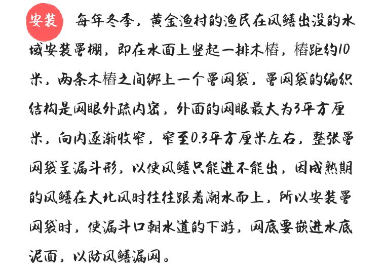 鲜为人知的斗门黄金风鳝,珠海黄金风鳝的做法---广东特色特产美食小吃(图22)