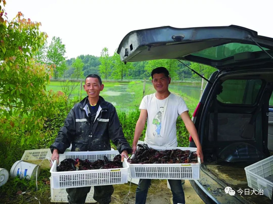 当天一大早,两辆小货车先后来到他位于陈贵镇李河村陈朝湾开办的兴达