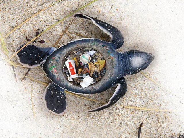 现代垃圾填埋和焚烧的方法,而这些却恰好是减少海洋塑料污染的前提