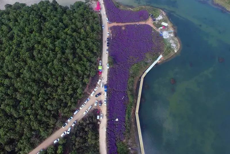 厉害了!昆明这两地拟入选云南省级旅游度假区