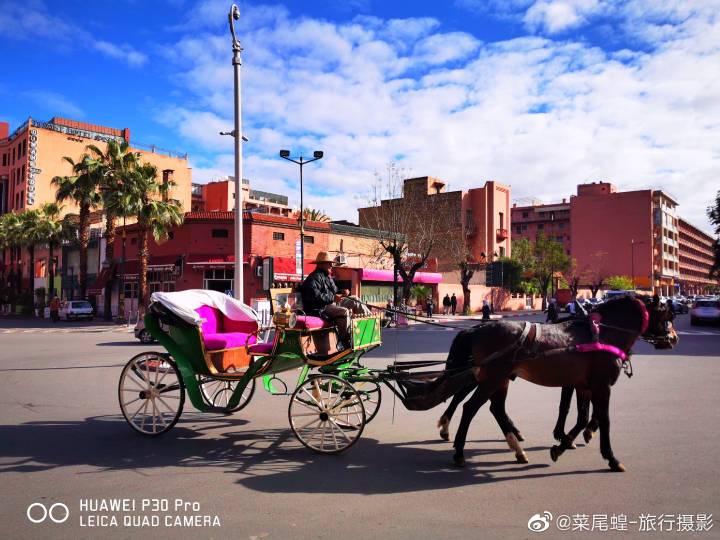 摩洛哥馬拉喀什，北非紅色之城的WTCR賽車及城市旅行 旅遊 第1張