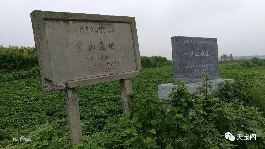 杜全山 南阳:黄山遗址新发现,惊天秘密发掘中