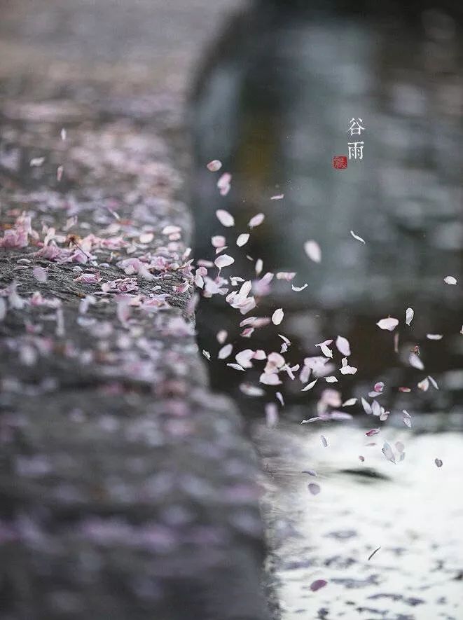 深村老退耕 犊随原草远 蛙傍堑篱鸣 拨棹茶川去 初逢谷雨晴 落絮游丝