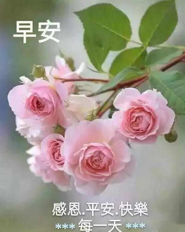 祝你们每天醒来都是美好的一天!早安,周一!