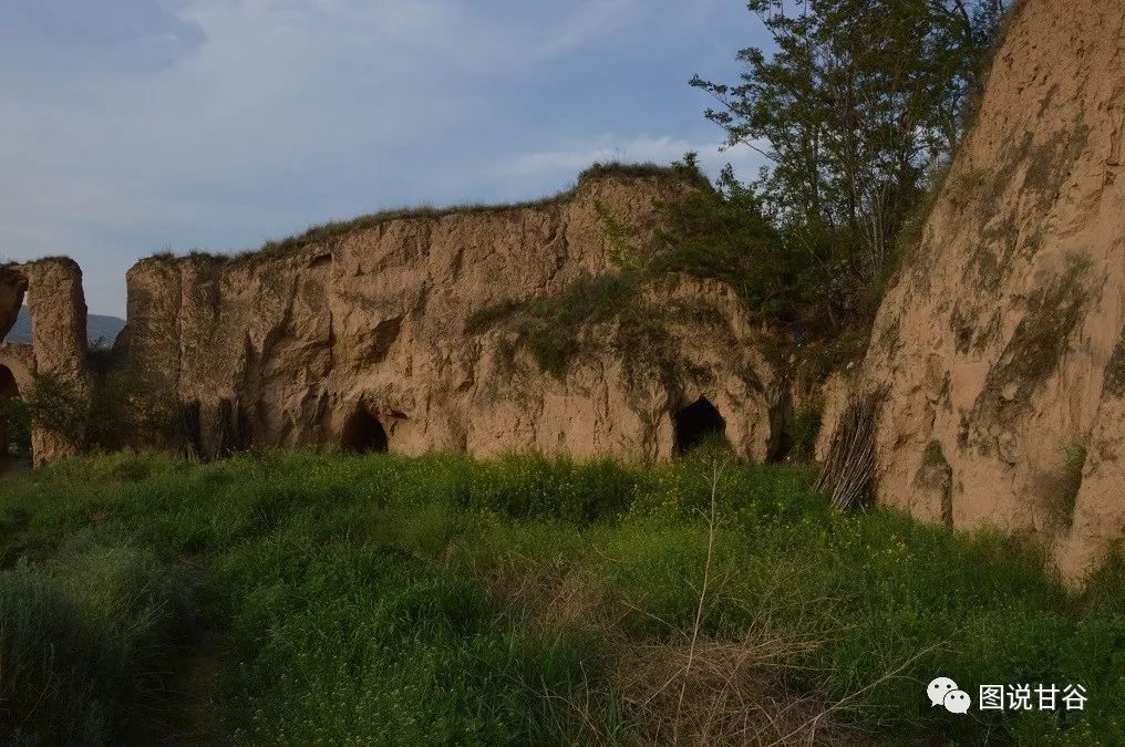 甘谷有多少人口_甘谷大象山(2)