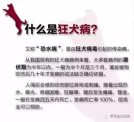                     大西街1岁宝宝半夜被咬出几个血洞！疾控中心：必须尽快……