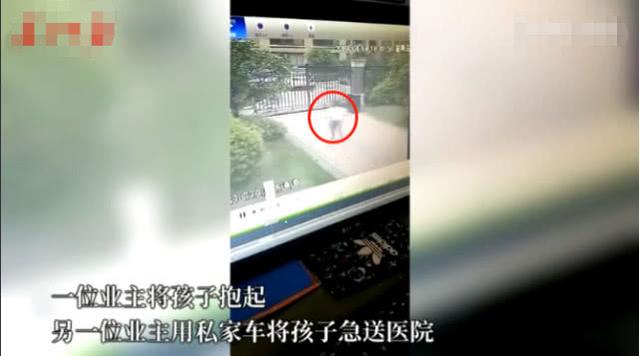                     2岁女童从10楼掉下只受皮外伤，坠落过程中连撞两处得到缓冲