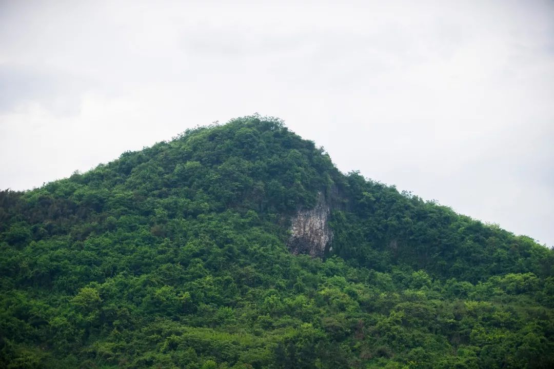 黄霞村人口_绯村剑心真人(3)