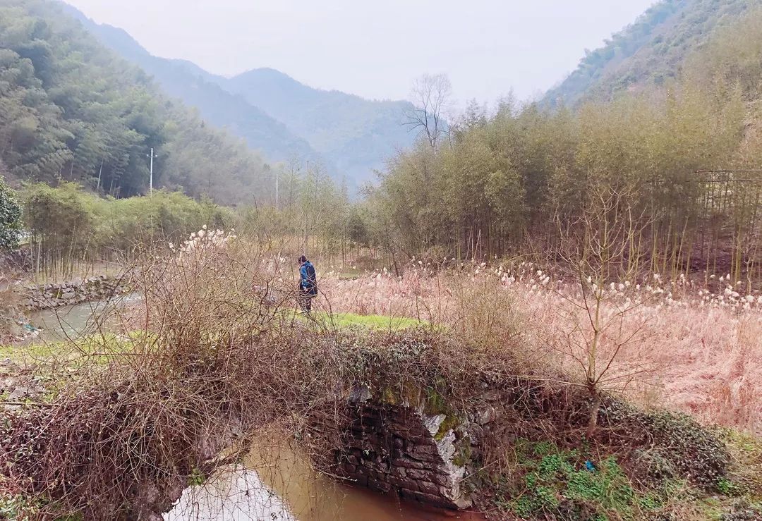 板桥人口有多少_荣昌九板桥有哪些厂